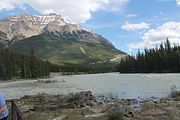 04 - Athabasca Falls - IMG_1061